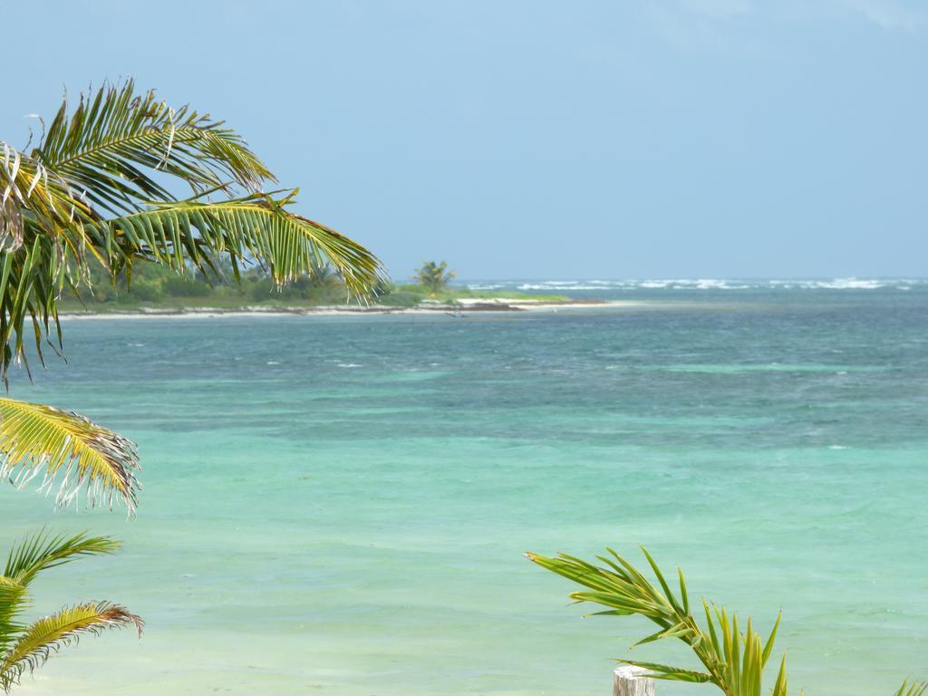 Mayan Beach Garden El Placer 외부 사진