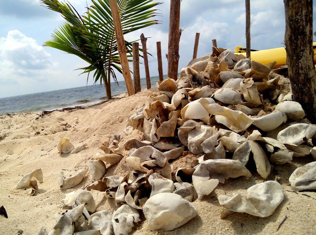 Mayan Beach Garden El Placer 외부 사진